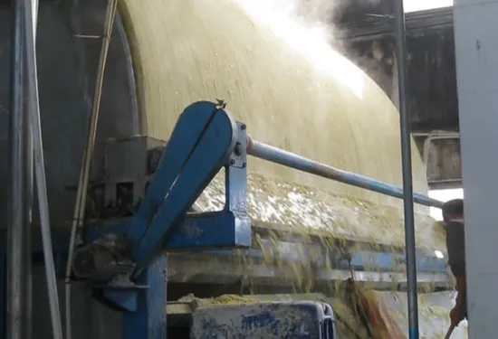 Vacuum Drum Filter for Starch Syrup, Fruit Juice, Chemical Industry, Resin